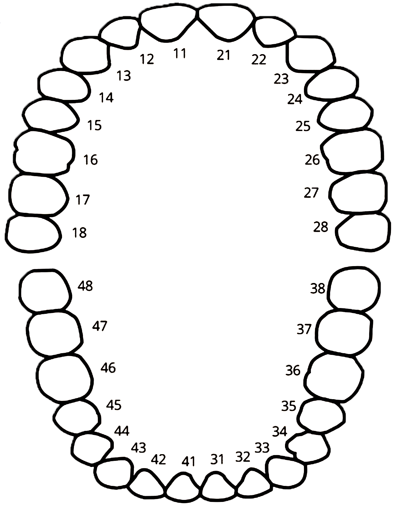 Fixed Prosthetics Form - Belladent Dental Labs